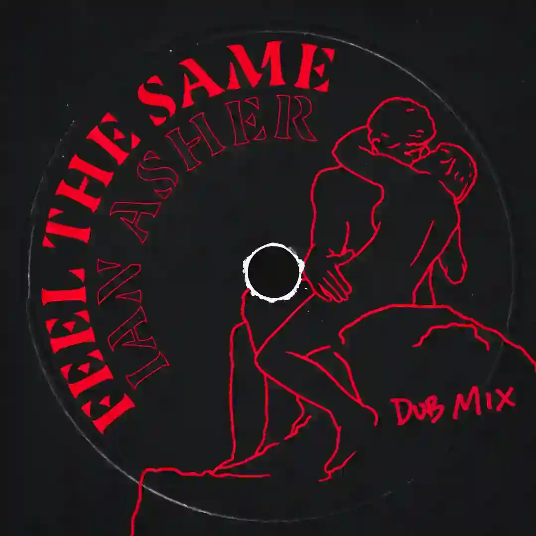 Feel The Same - Riva Starr Dub Remix cover