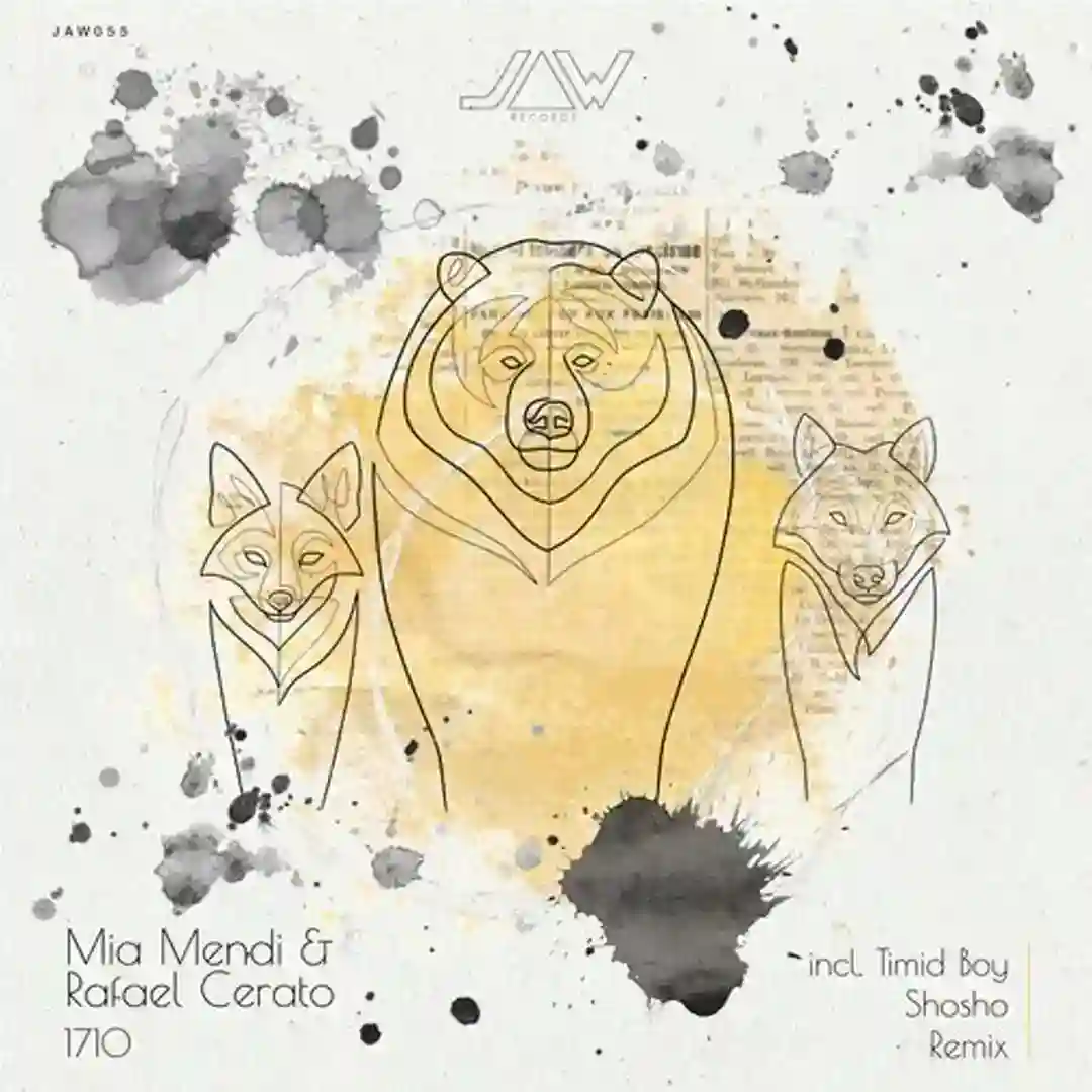 Soethis (Timid Boy El Robot Galactico Remix) cover