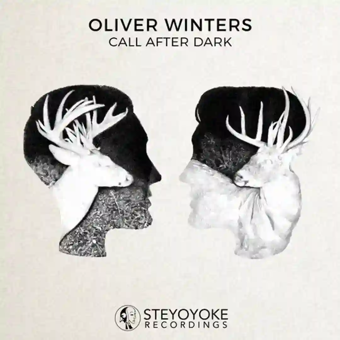 Call After Dark cover