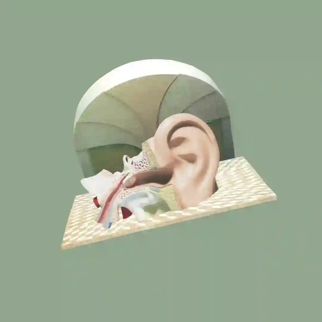 Foundation EP cover