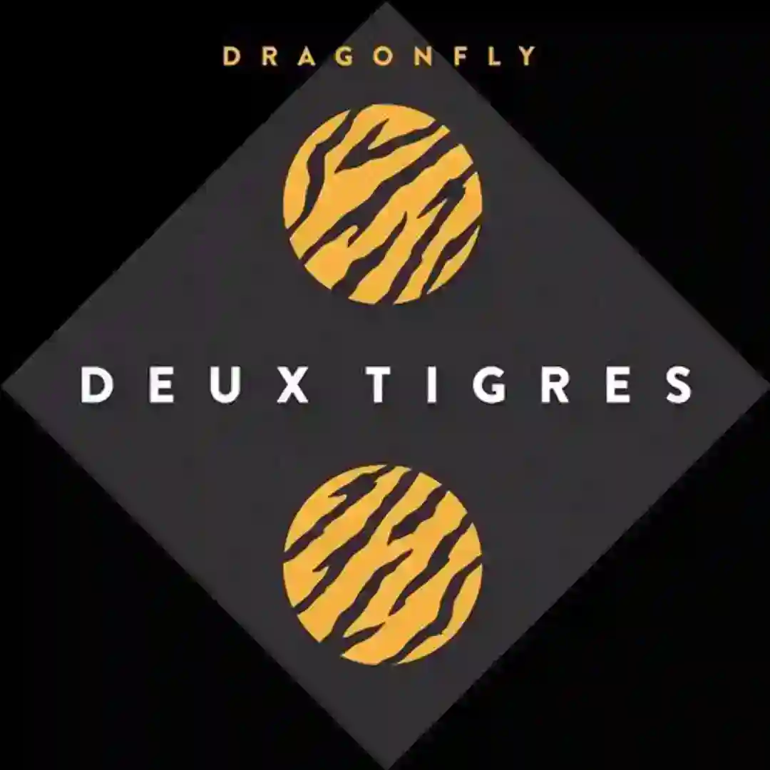 Dragonfly (Jori Hulkkonen Remix) cover