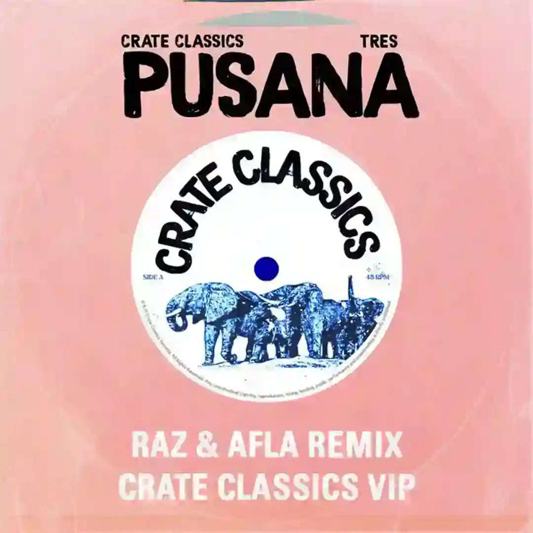 Pusana (Original Mix) cover