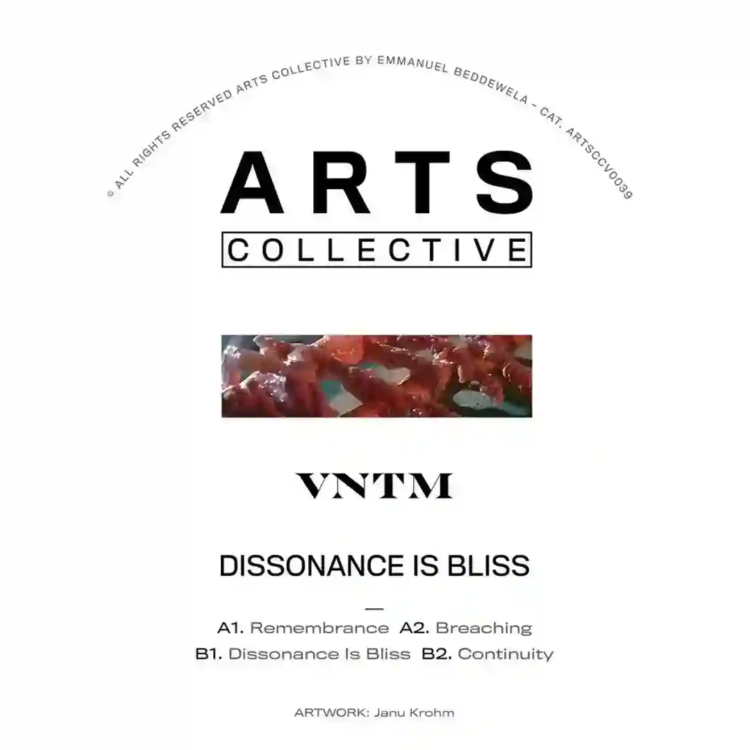 Dissonance Is Bliss cover