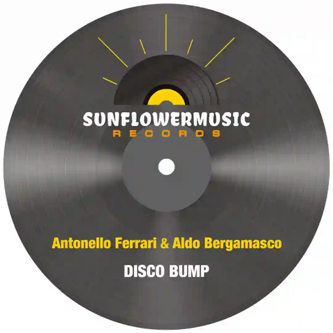 Disco Bump cover