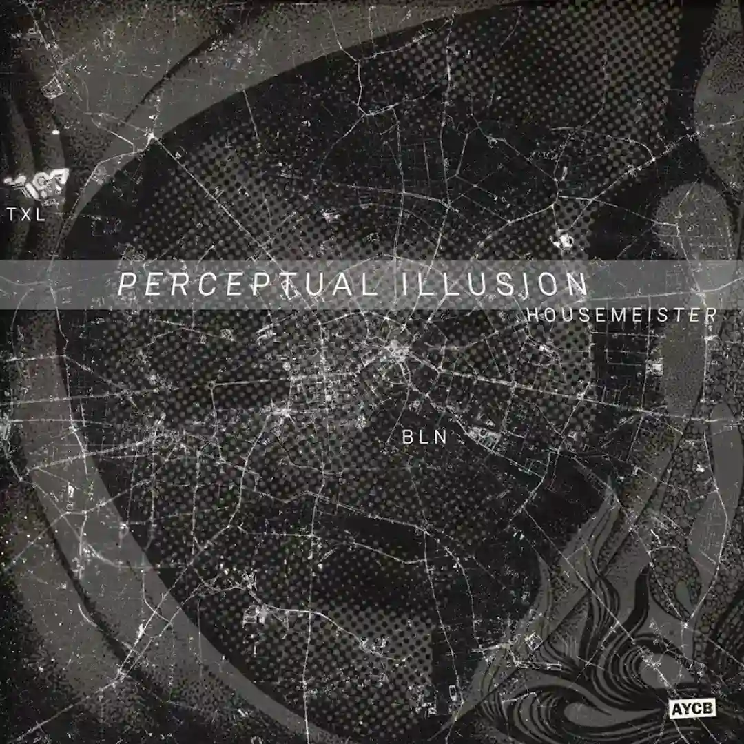 Perceptual Illusion cover