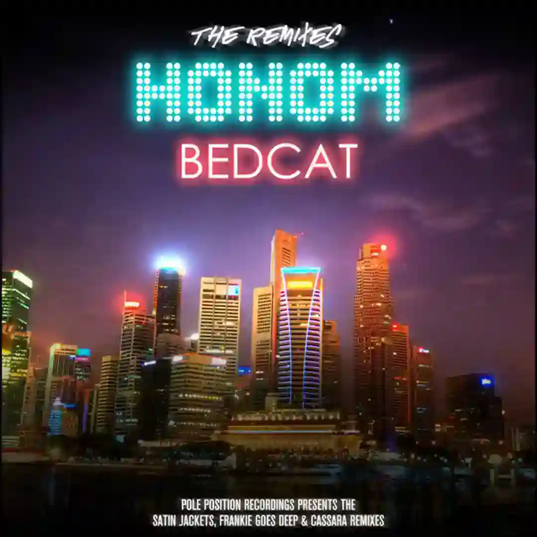 Bedcat (Satin Jackets Remix) cover