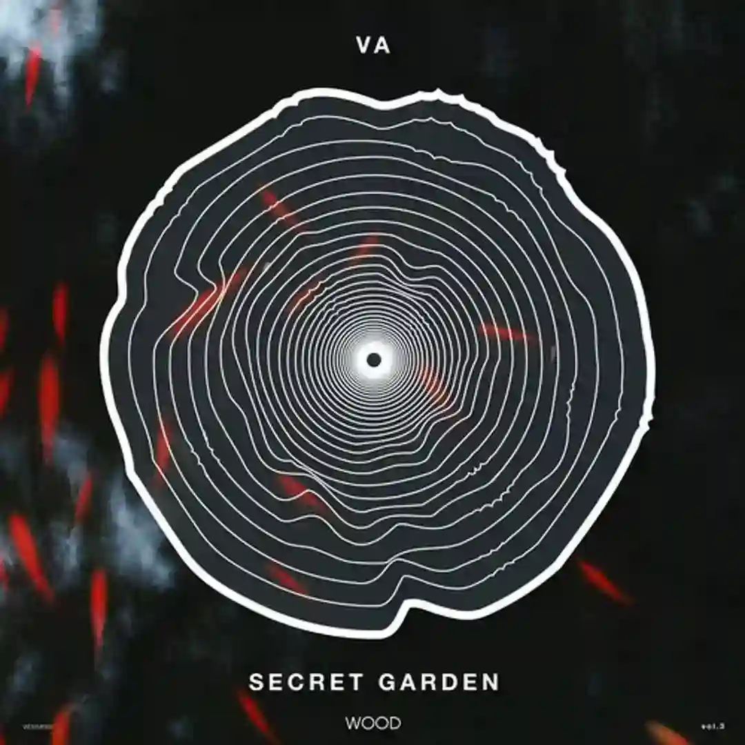 Control (Original Mix) cover