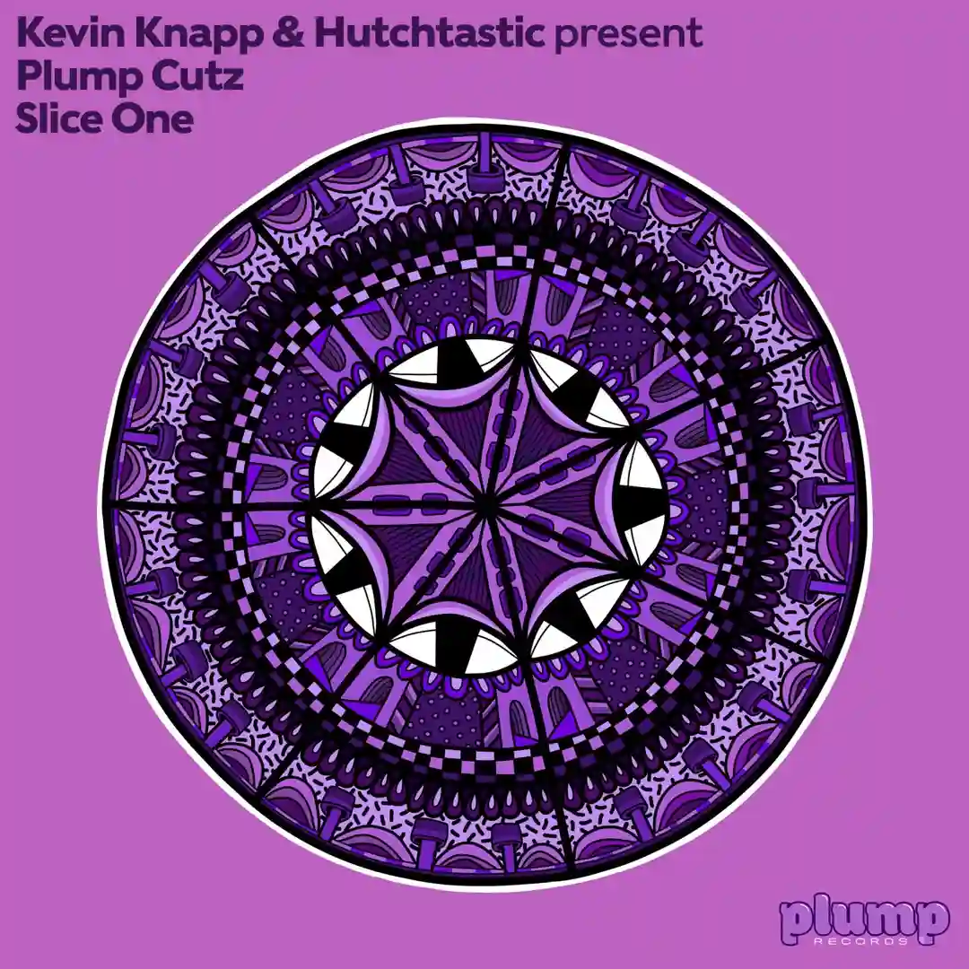 Disco In The Cuts cover
