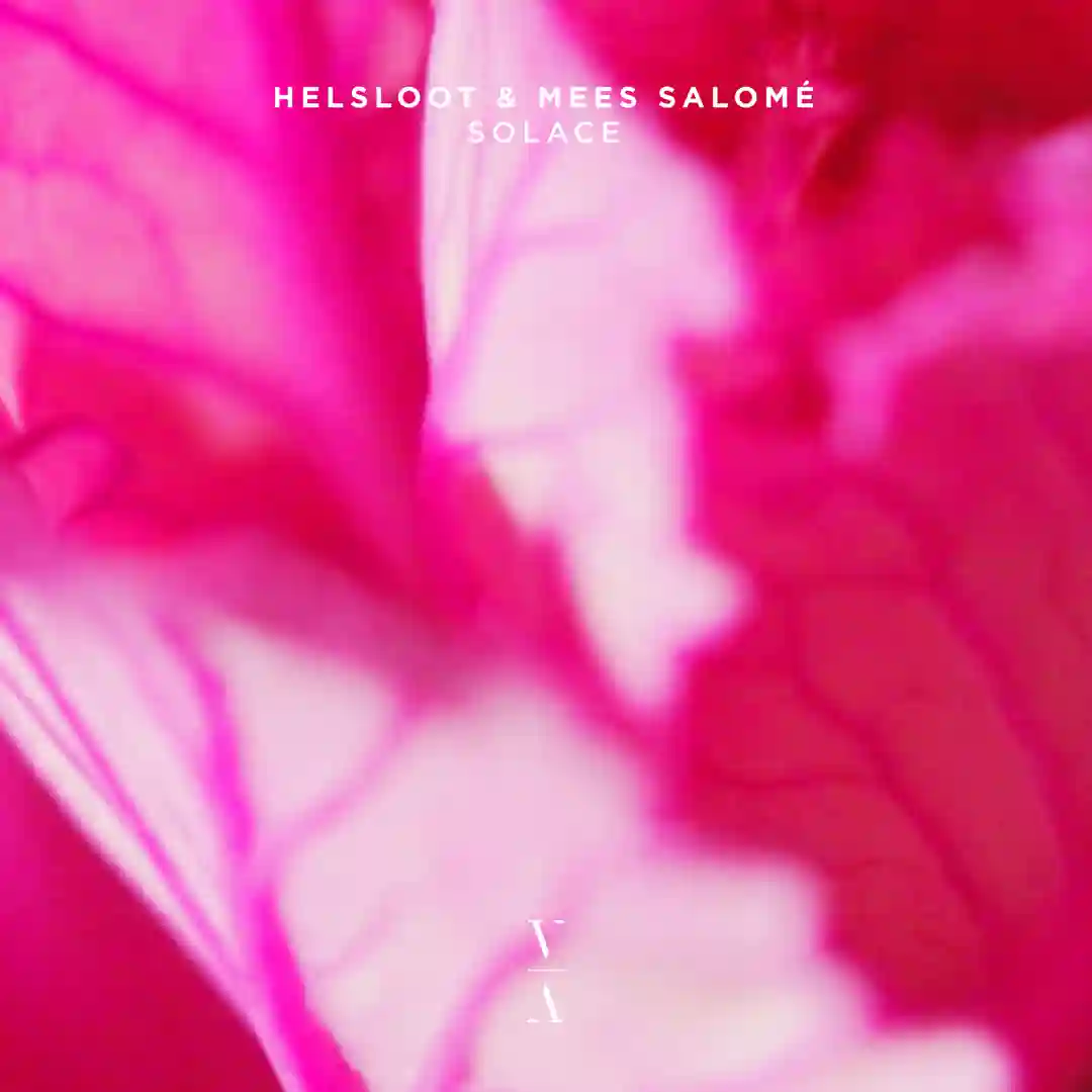 Solace cover