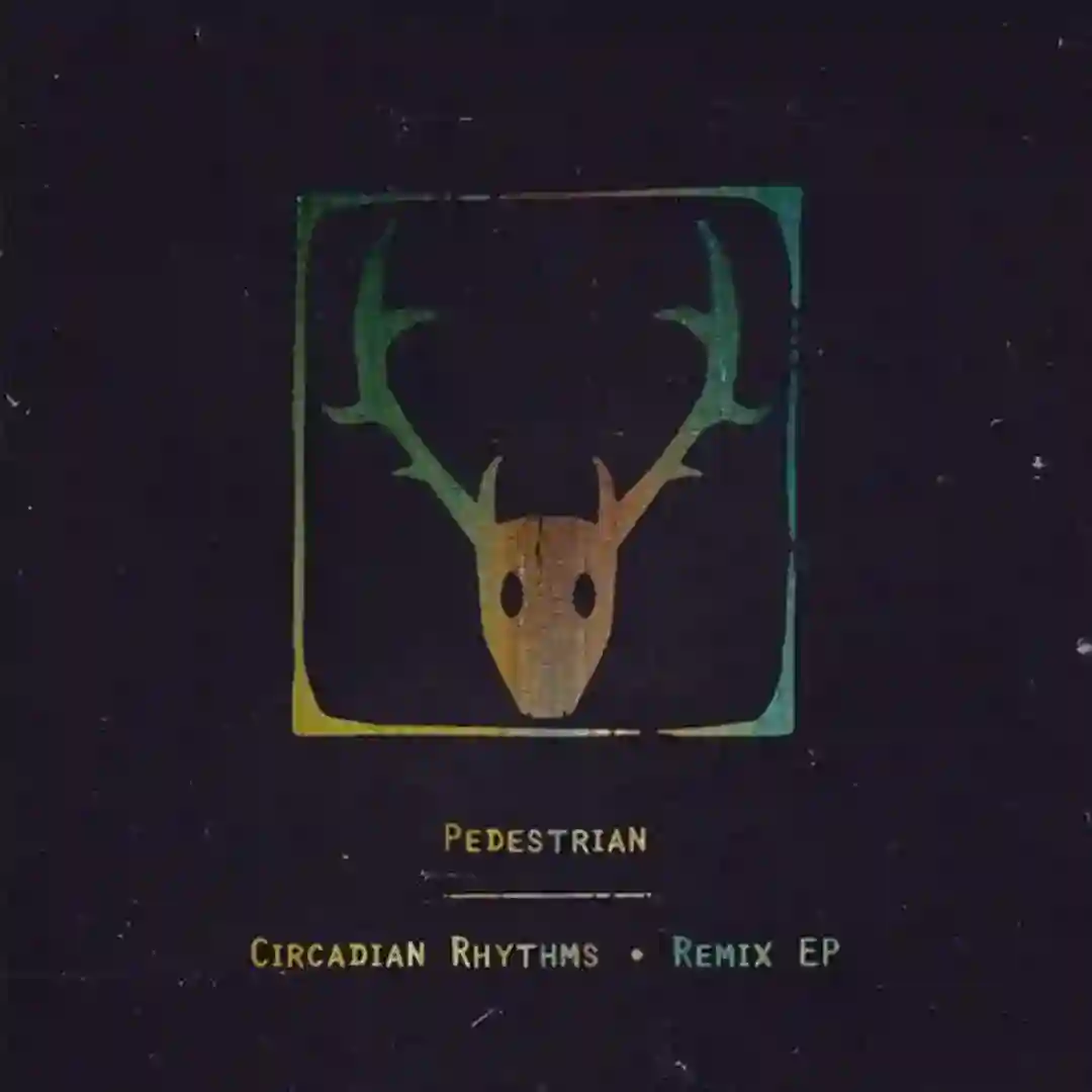 JNT feat. Maribou State (Ross From Friends Remix) cover
