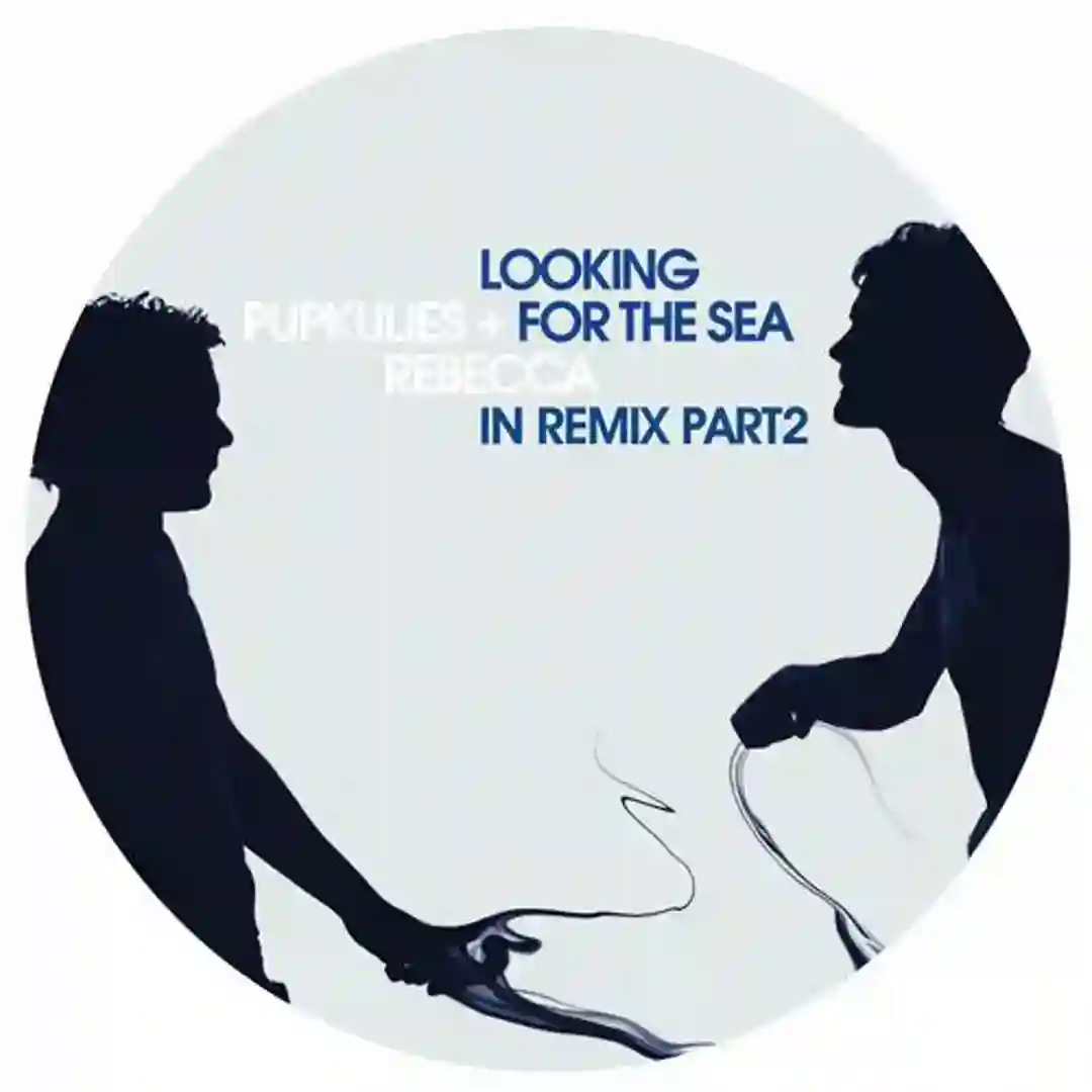 Fou De Toi (Wareika`s Licence To Break Remix) cover