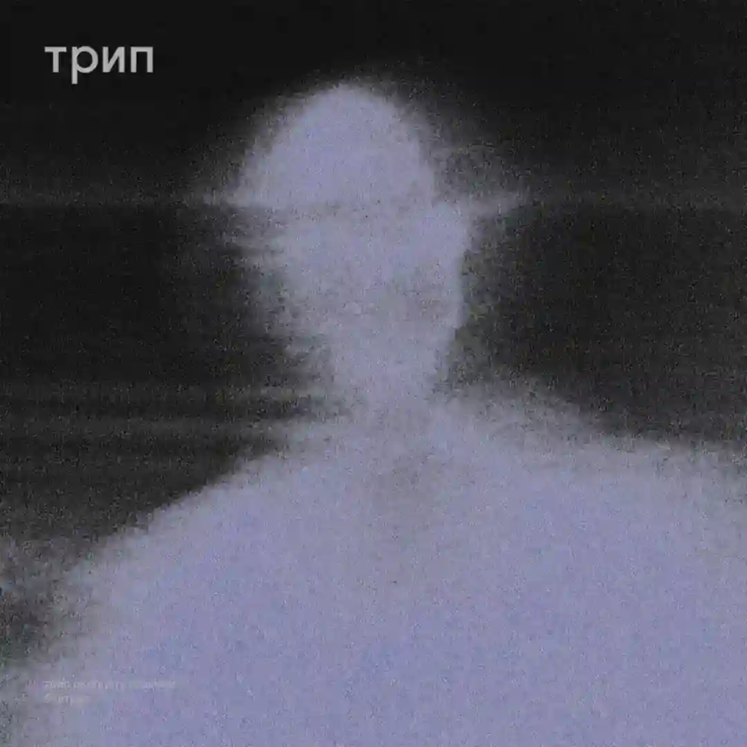 wb movement cover