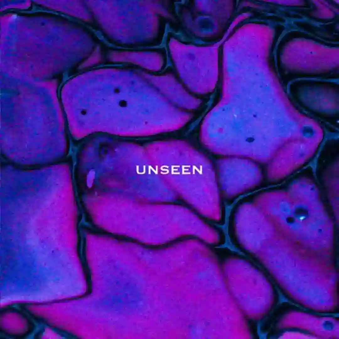 Unnoticed cover