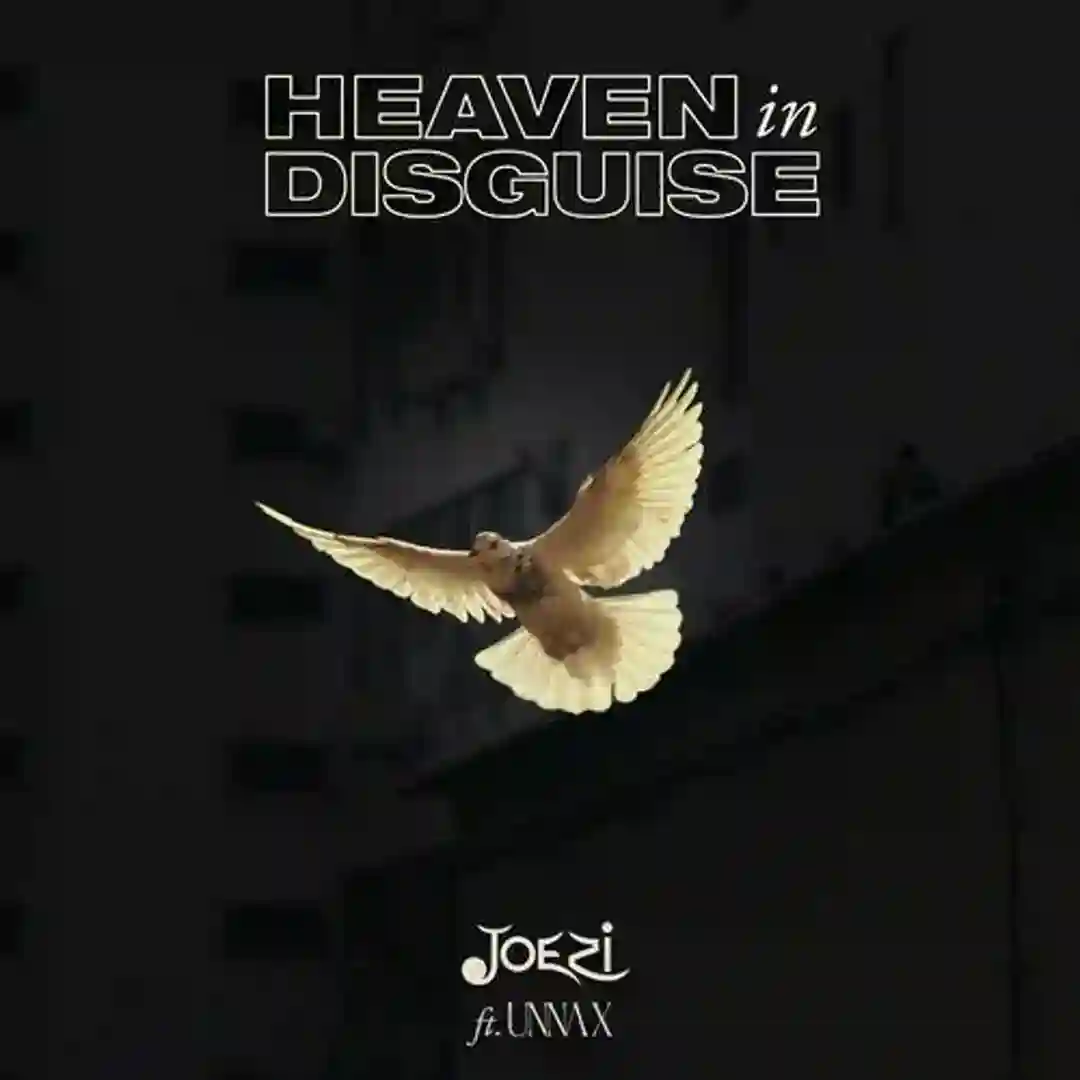 Heaven in Disguise (Extended Mix) cover