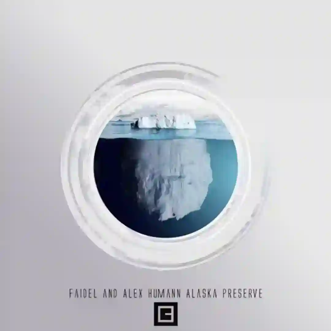 Faidel - Antartica cover