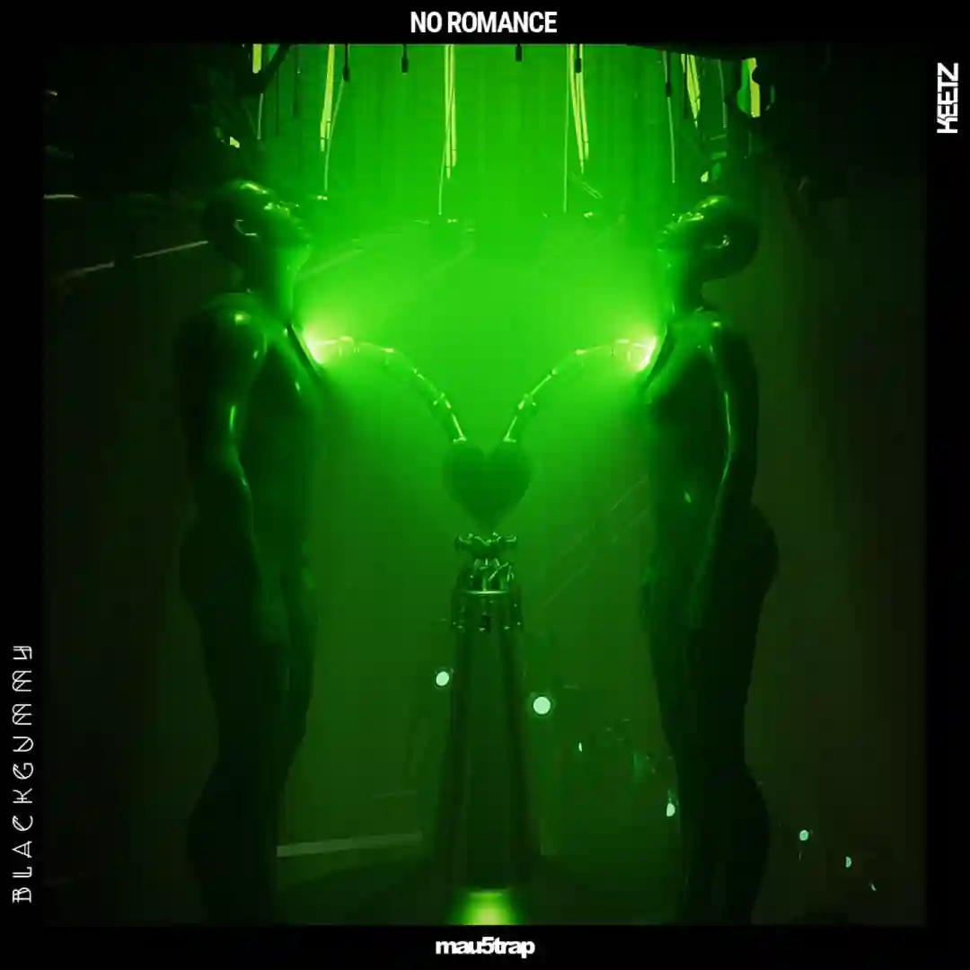No Romance cover