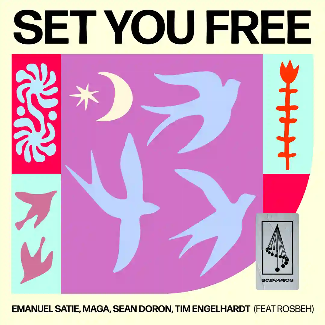 Set You Free (Original Mix) cover