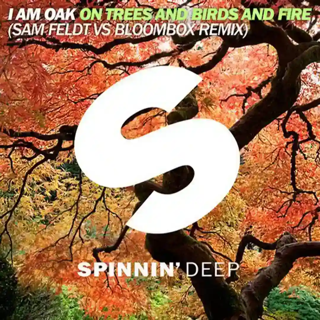 On Trees And Birds And Fire (Sam Feldt vs Bloombox Remix) cover