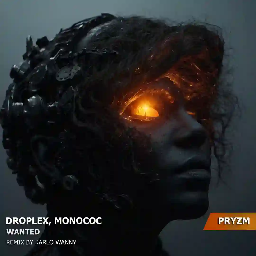Wanted (Karlo Wanny Remix) cover