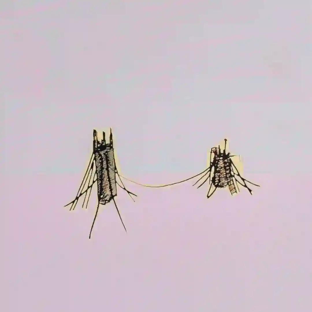 Stay (Original Mix) cover