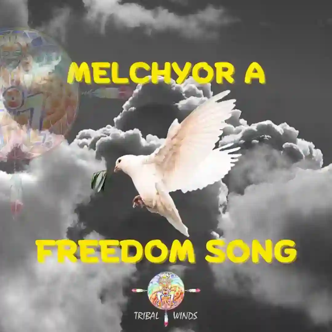 Freedom Song (Melchyor A's Tropical Vibe Mix) cover