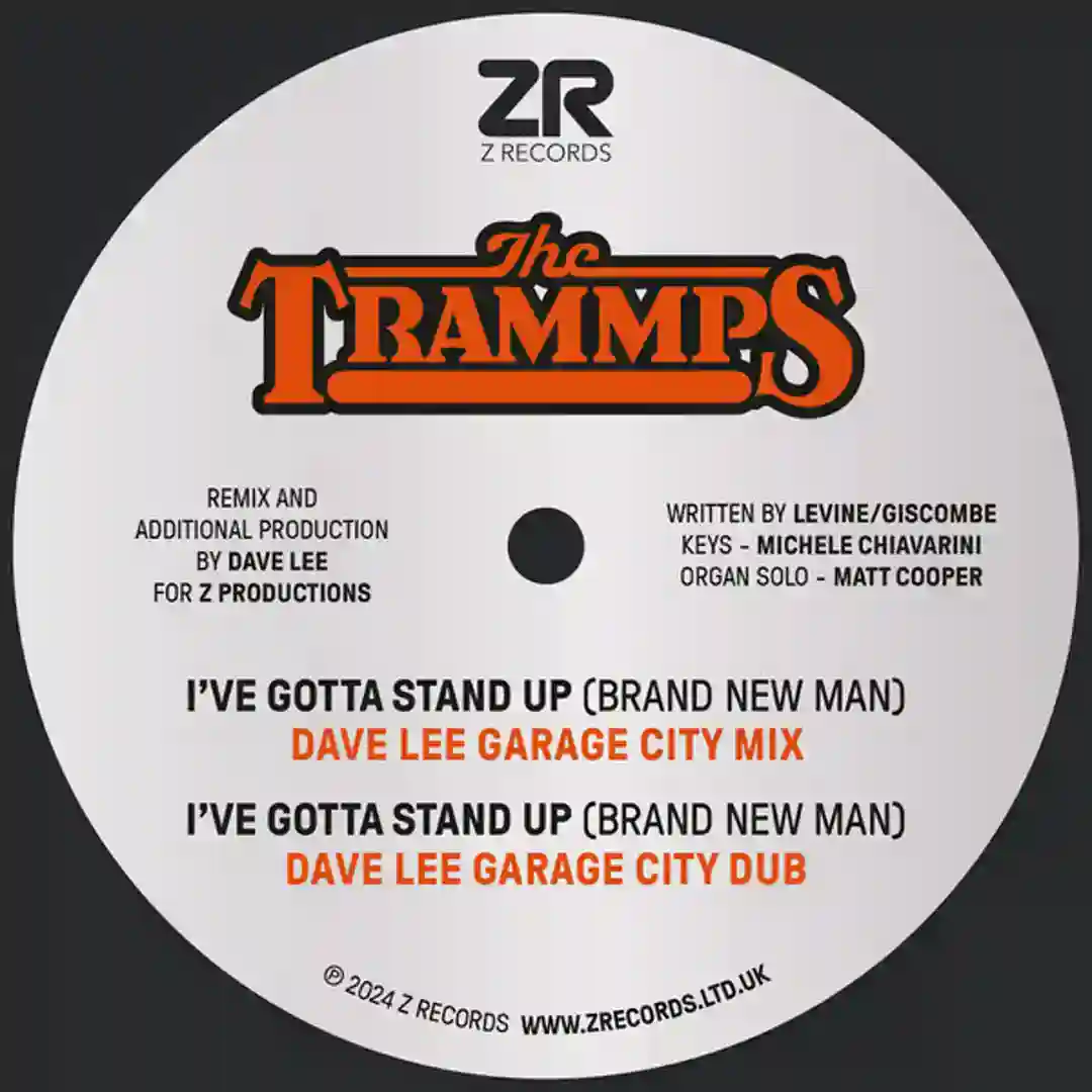 I've Gotta Stand Up (Brand New Man) (Dave Lee Garage City Dub) cover
