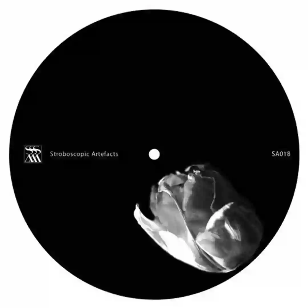 Body In cover