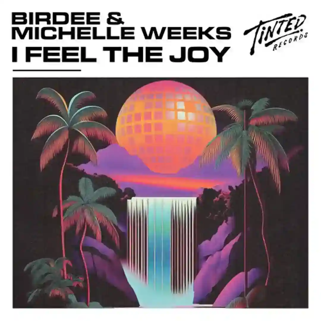 I Feel the Joy (Extended Mix) cover