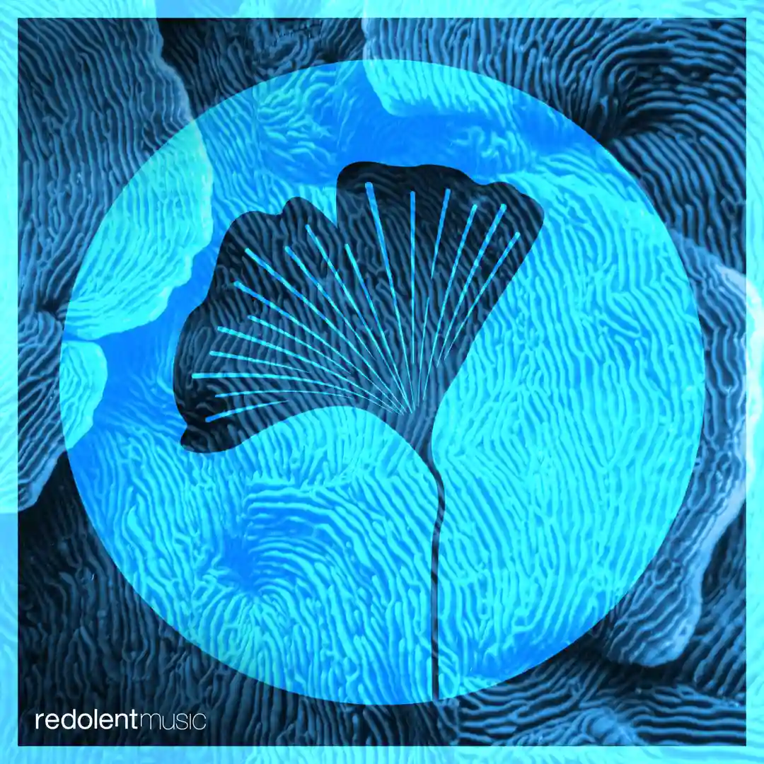 Tambora cover