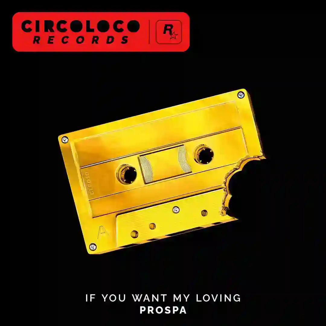 If You Want My Loving (Original Mix) cover