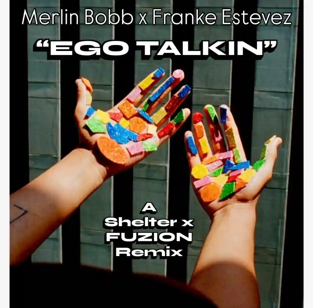 Ego Talkin (SHELTER x FUZION REMIX VOCAL) cover