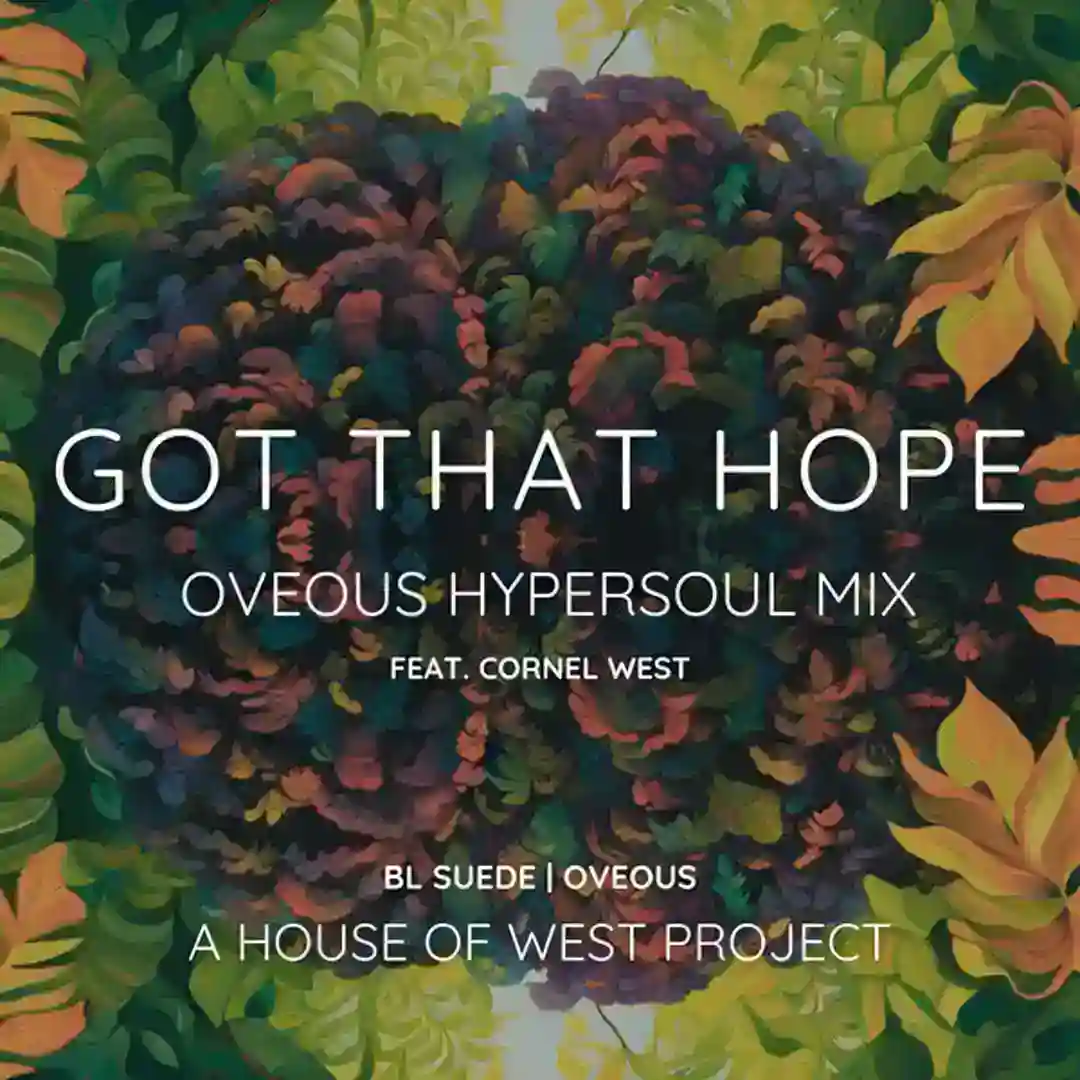 Got That Hope (OVEOUS HyperSoul Mix) cover