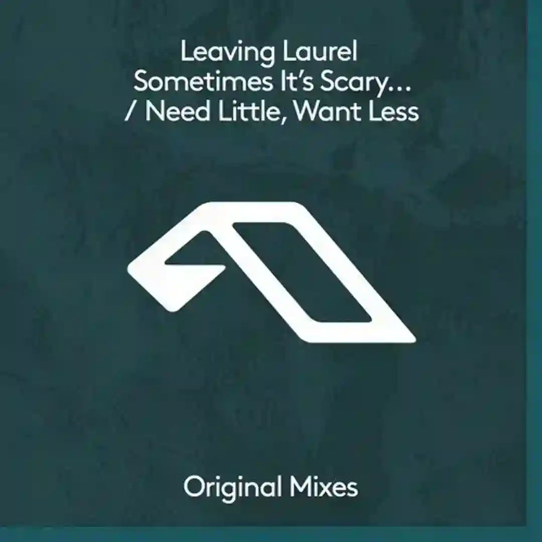 sometimes it's scary but it's still just you and me / Need Little, Want Less cover