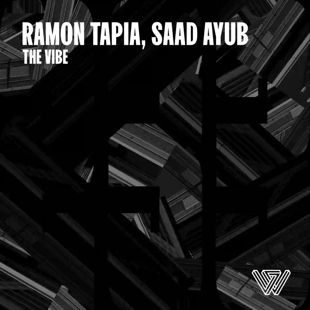 The Vibe (Original Mix) cover