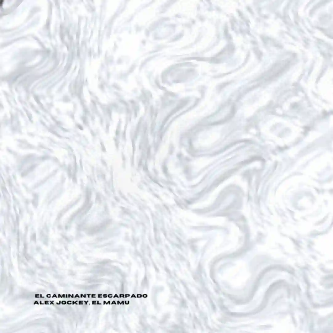 El Caminante (Original Mix) cover