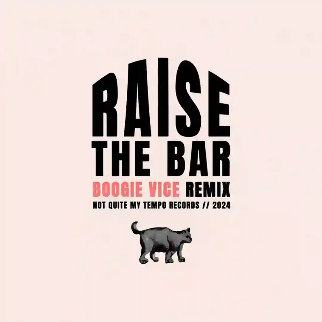 Raise the Bar (Boogie Vice Remix) cover