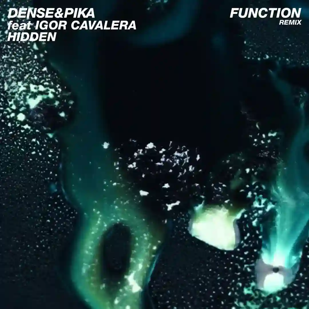 Hidden feat. Igor Cavalera (Function Remix) cover