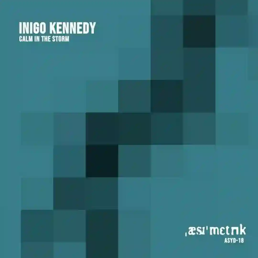 Calm In The Storm cover