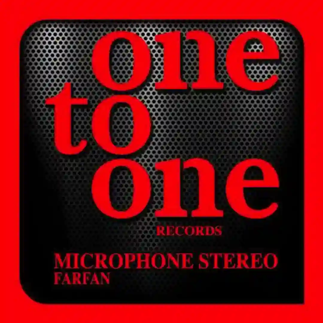 Microphone Stereo cover