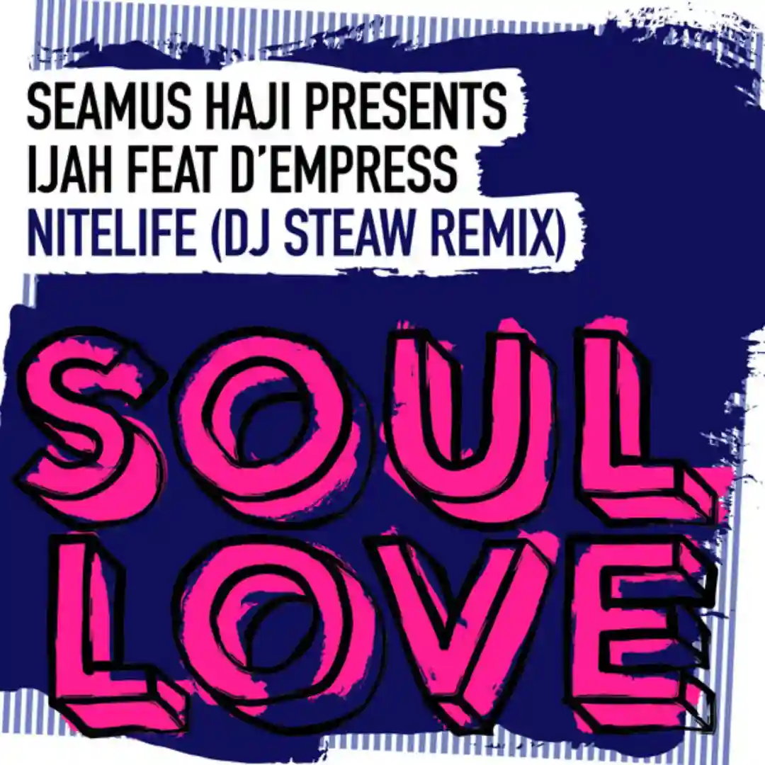 Nitelife (DJ Steaw Remix) cover