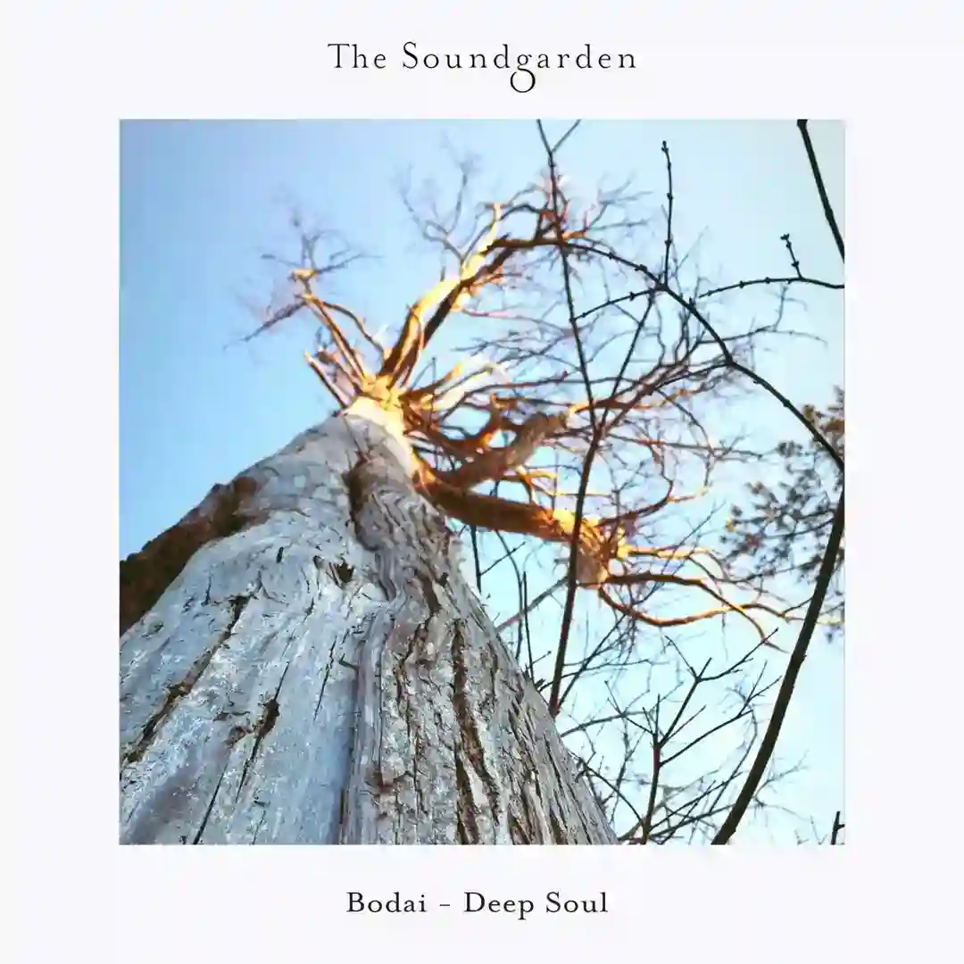 Deep Soul cover