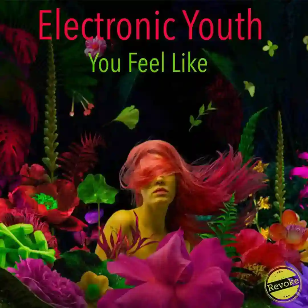 You Feel Like cover