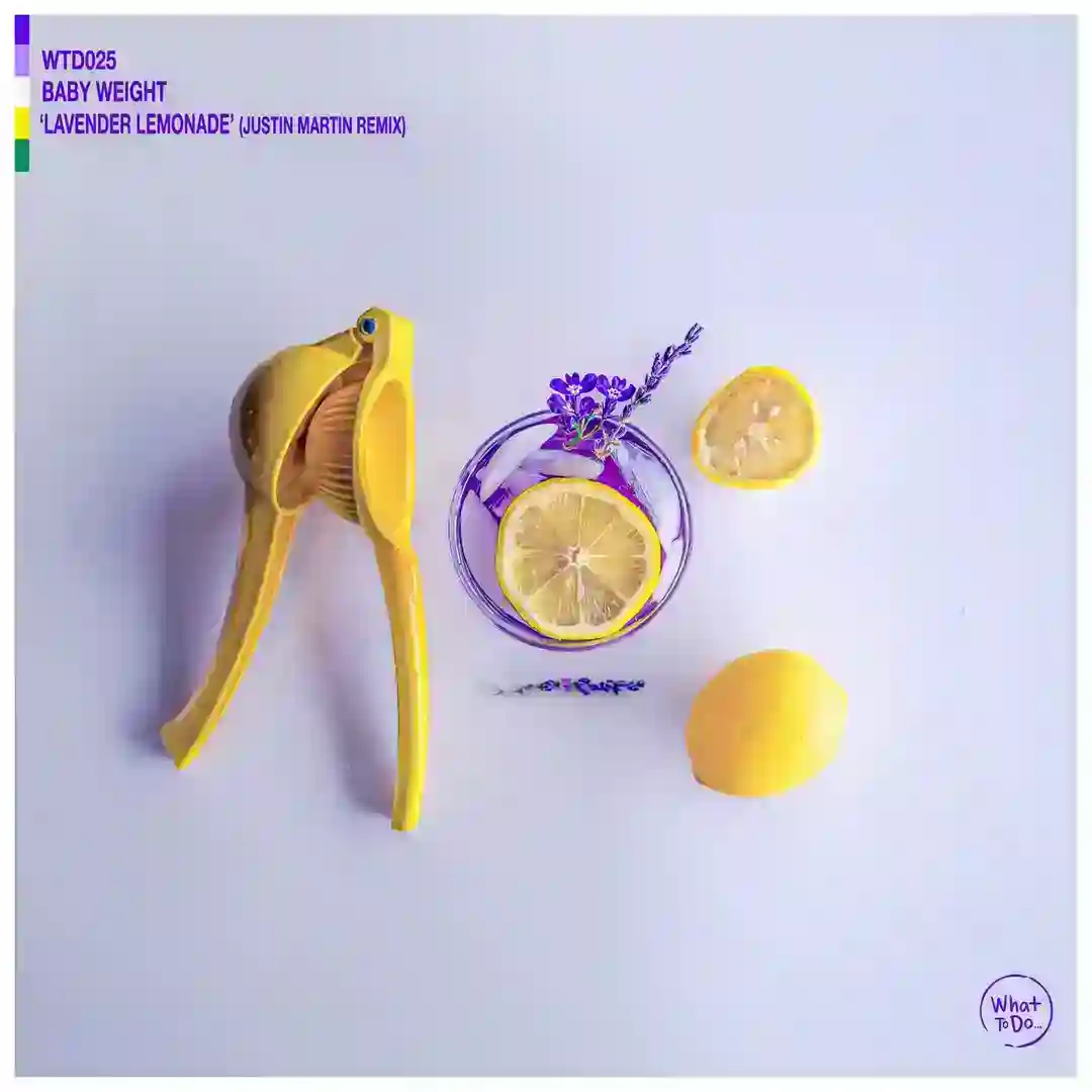 Lavender Lemonade (Justin Martin Remix) cover