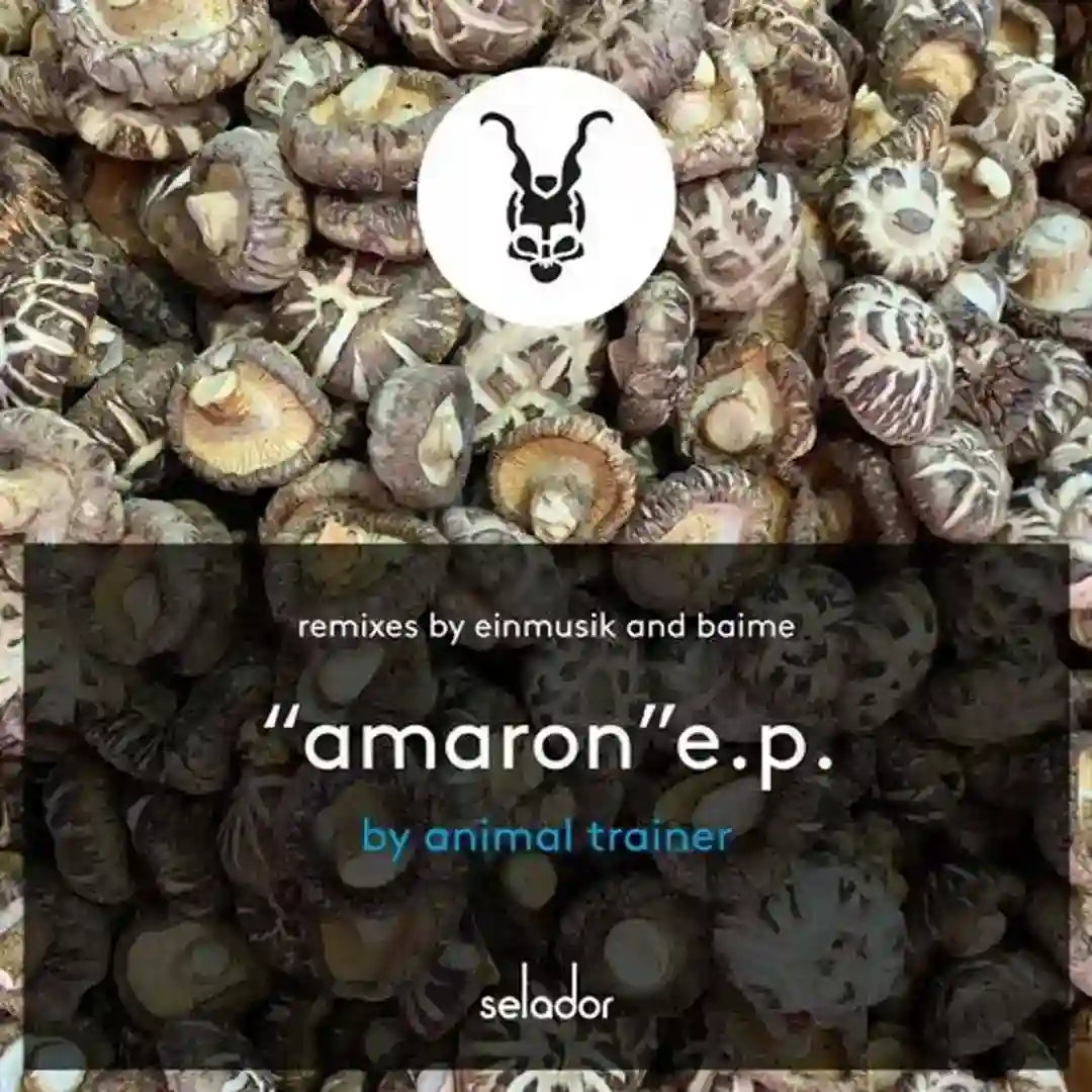 Amaron EP cover