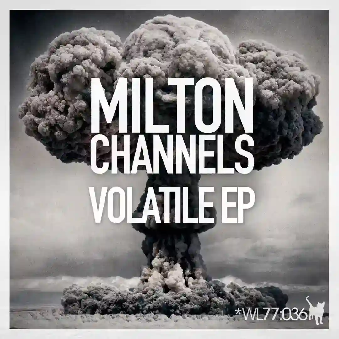 Volatile (Original Mix) cover
