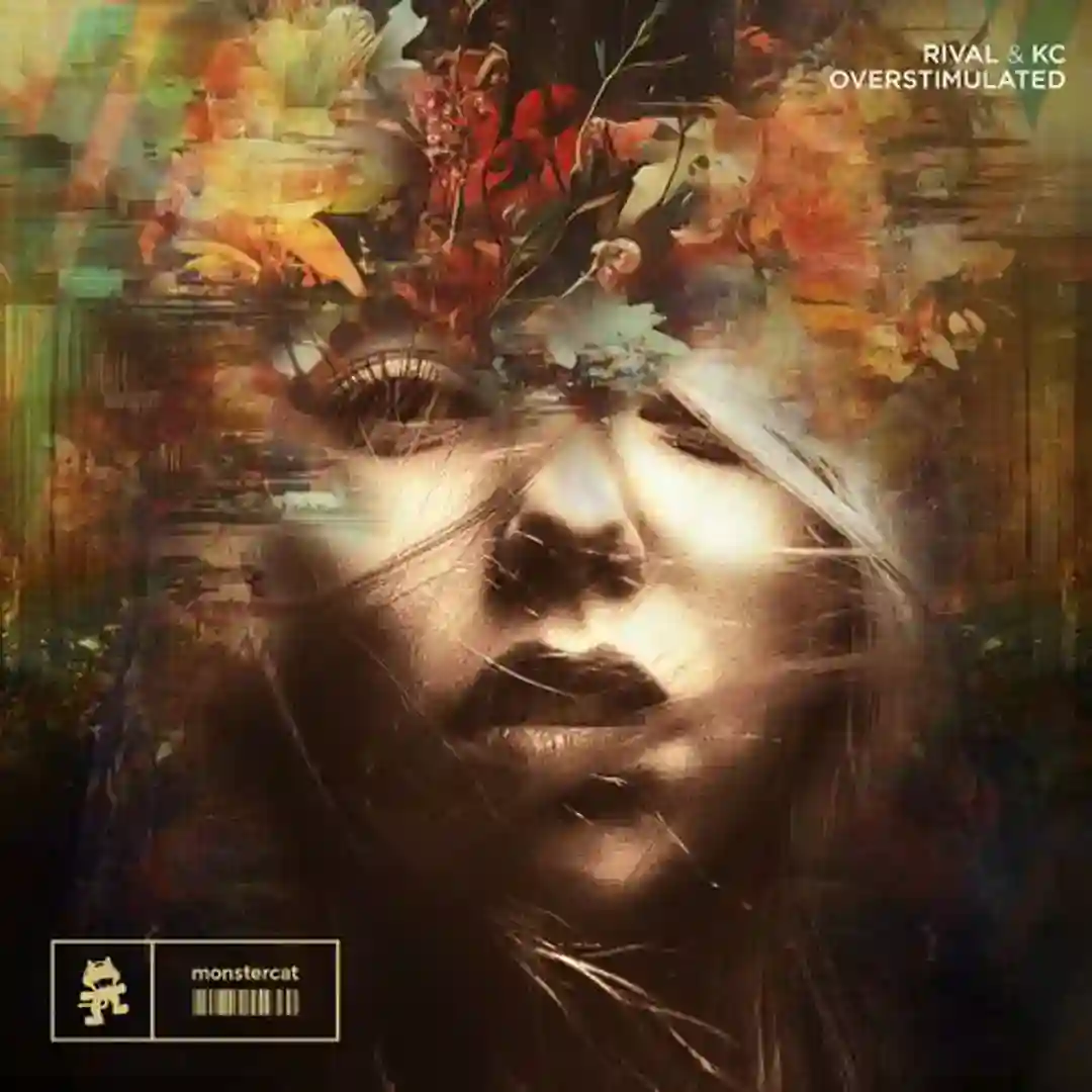 Overstimulated cover
