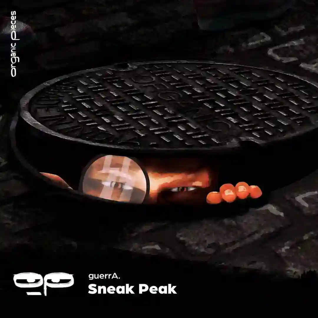 Loco (Original Mix) cover
