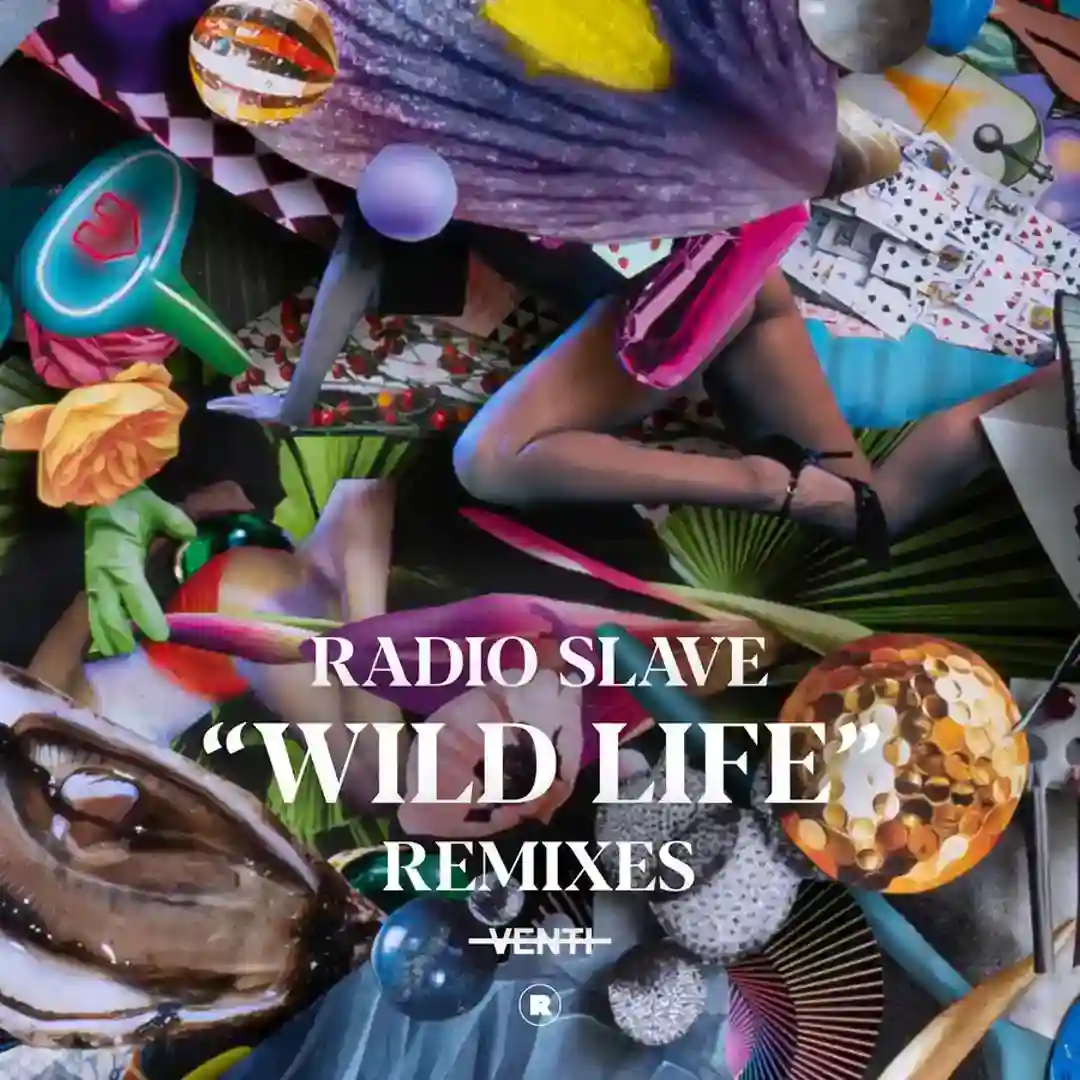 Wild Life (Remixes) cover