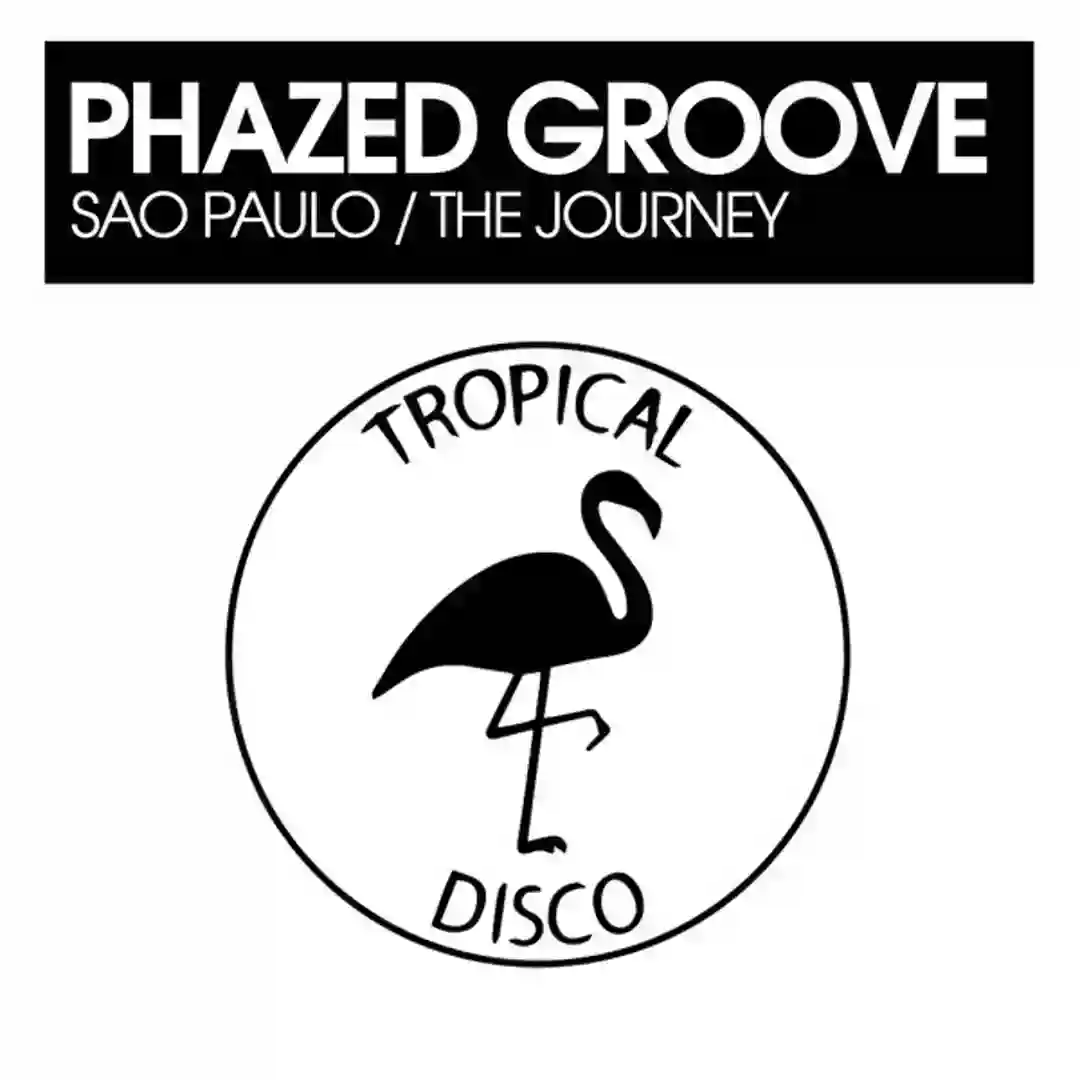 The Journey (Original Mix) cover