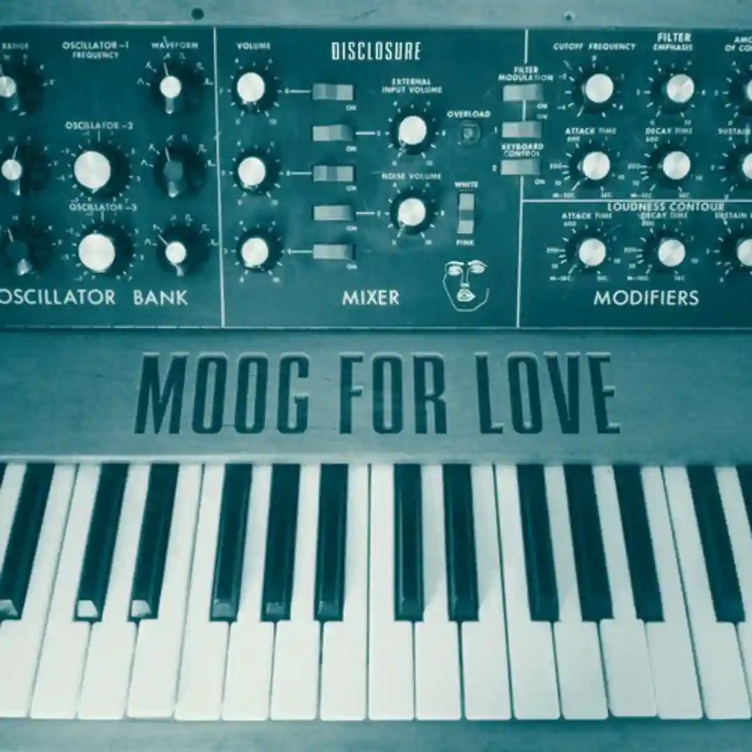 Moog For Love (Original Mix) cover